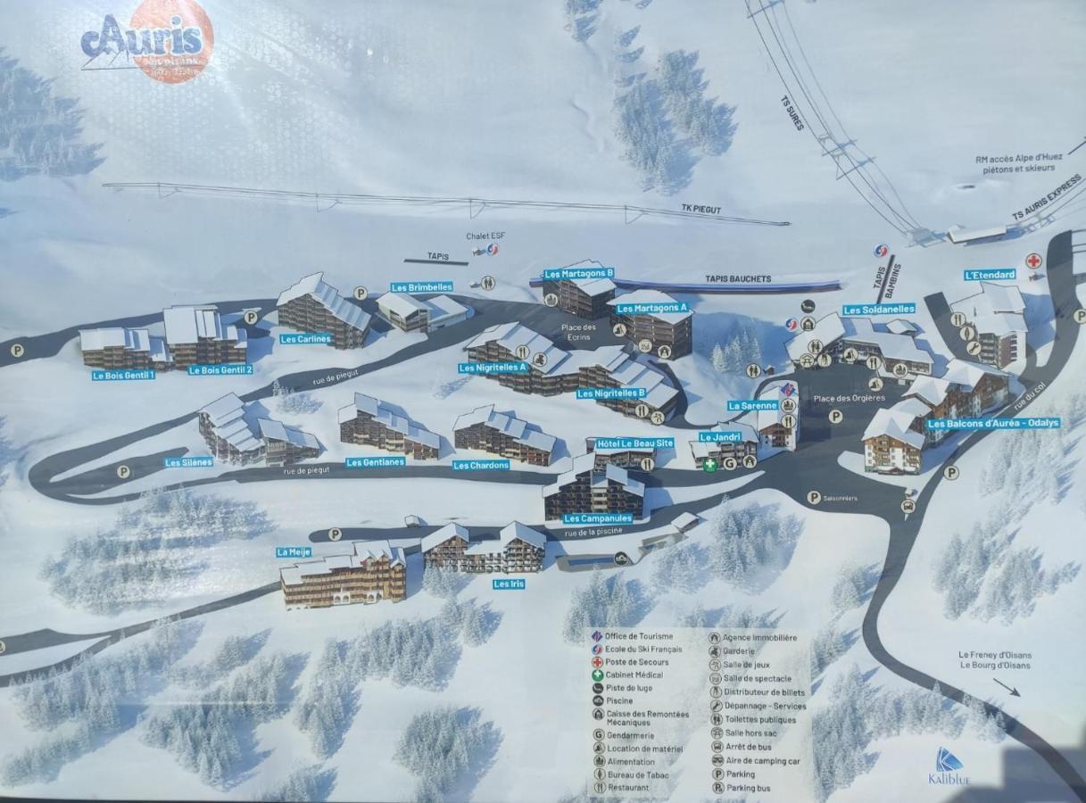 Auris Les Gentianes Station Alpe Huez Appartement Buitenkant foto
